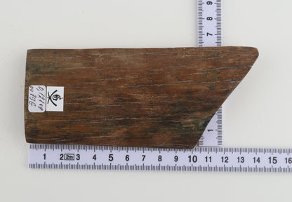 Beige-green mammoth bark