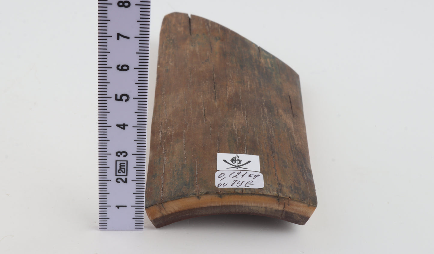Beige-green mammoth bark
