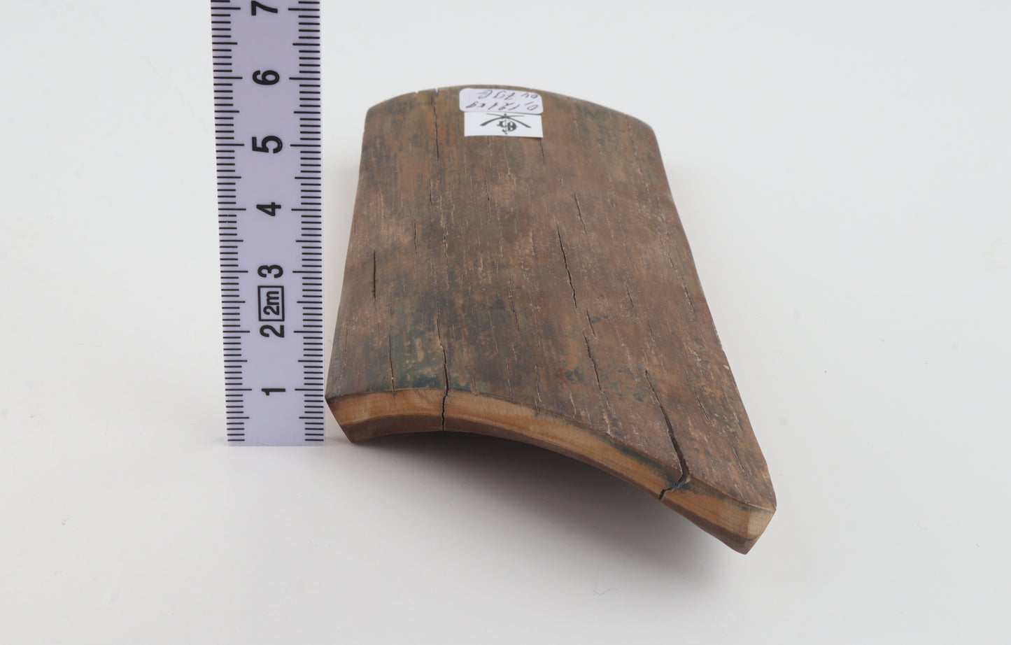 Beige-green mammoth bark