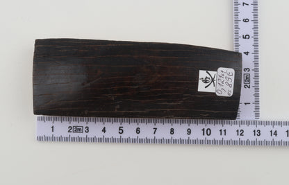 Brown mammoth bark