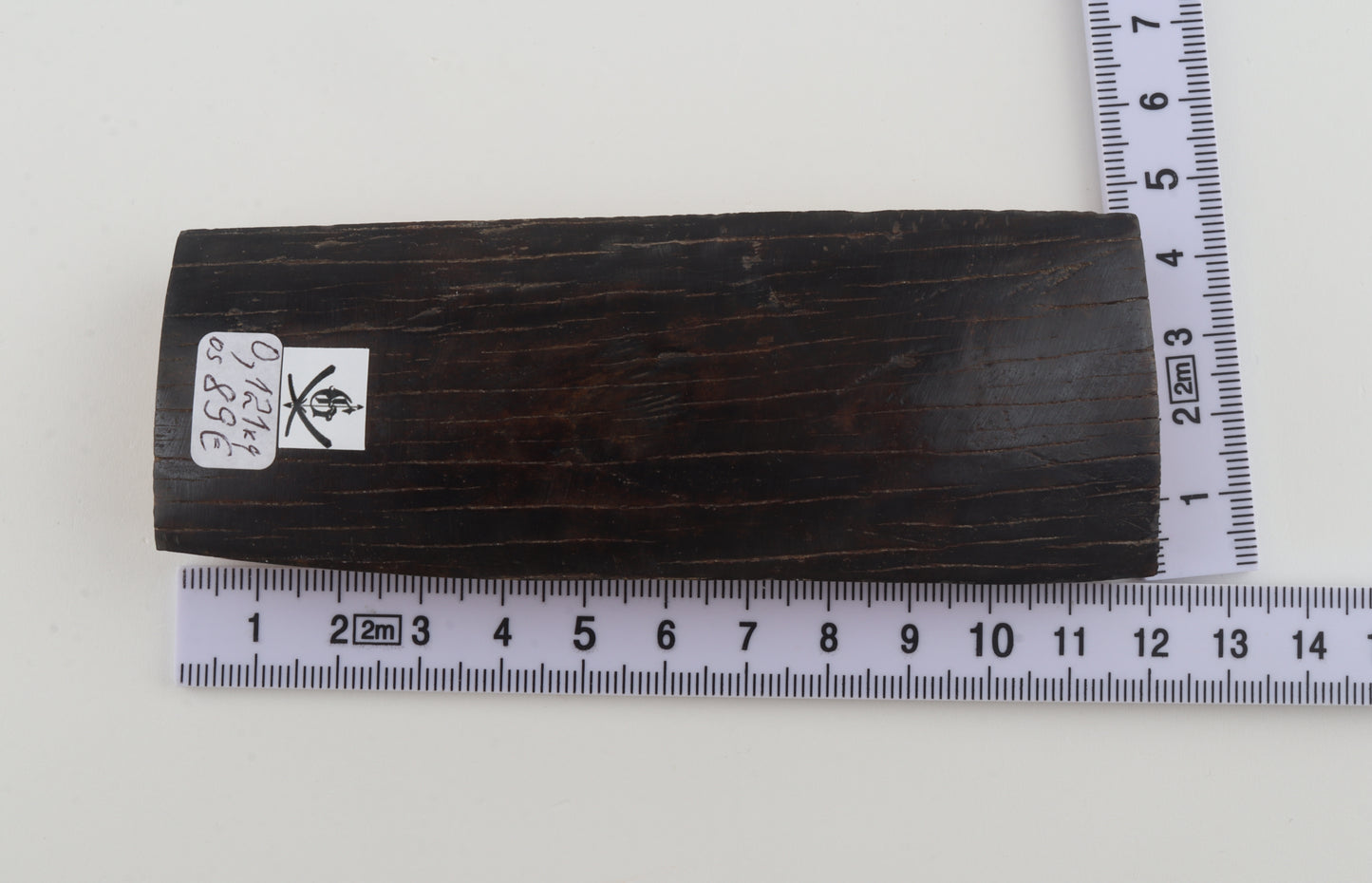 Brown mammoth bark