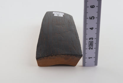 Brown mammoth bark