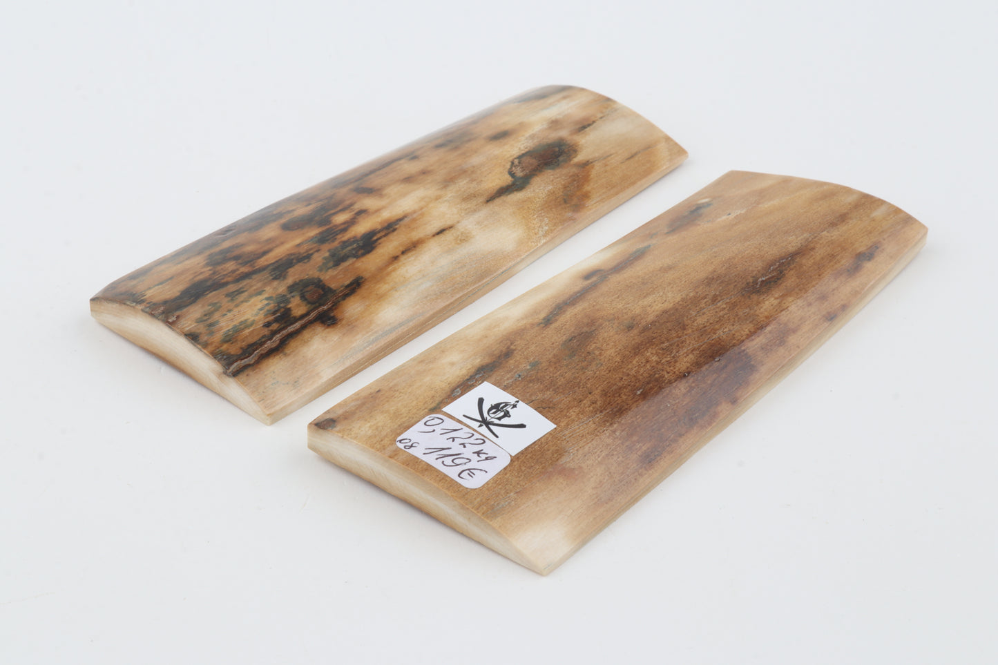 Natural mammoth bark scales