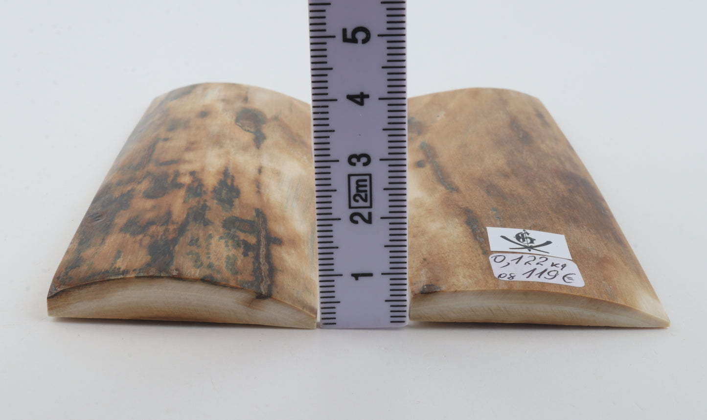 Natural mammoth bark scales