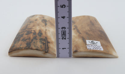 Natural mammoth bark scales