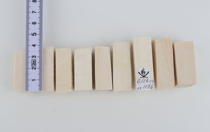 White mammoth ivory pieces