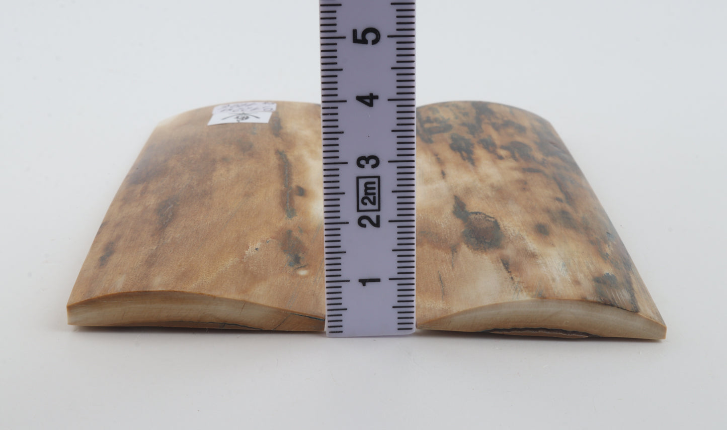 Natural mammoth bark scales