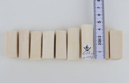 White mammoth ivory pieces
