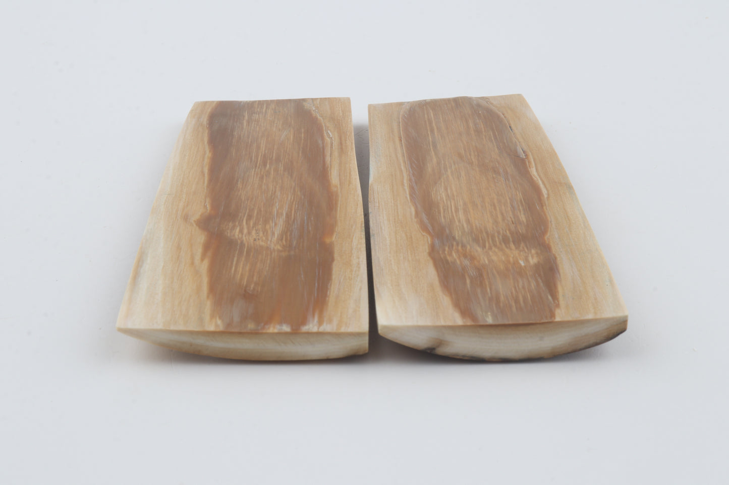 Natural mammoth bark scales