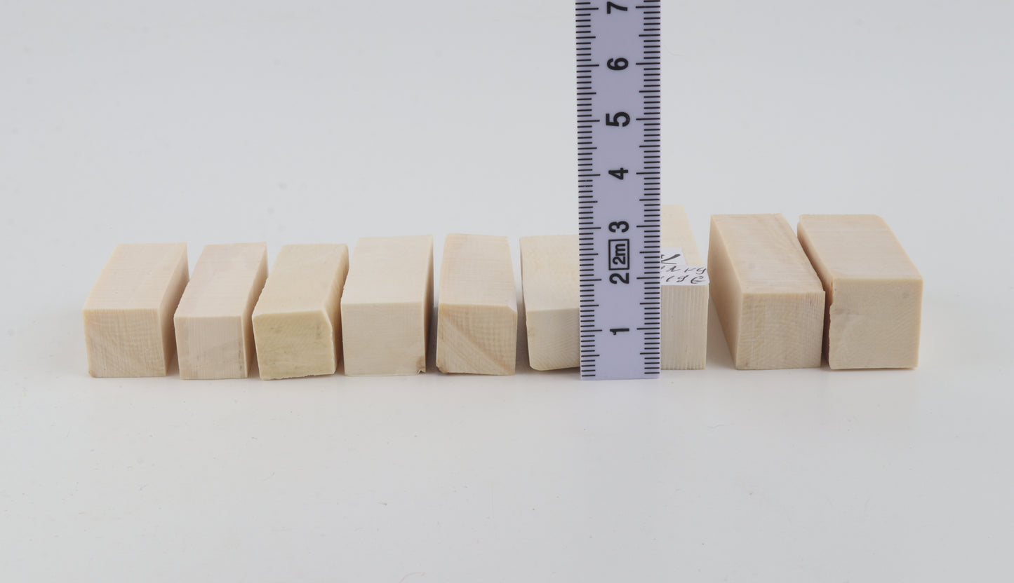 White mammoth ivory pieces