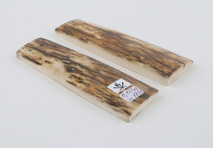 Natural mammoth bark scales