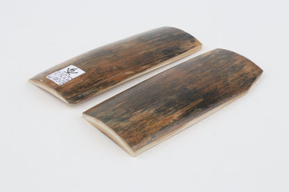 Natural mammoth bark scales