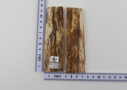 Natural mammoth bark scales