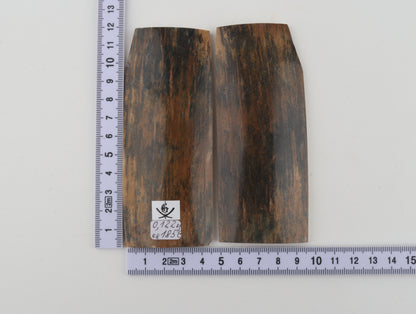 Natural mammoth bark scales