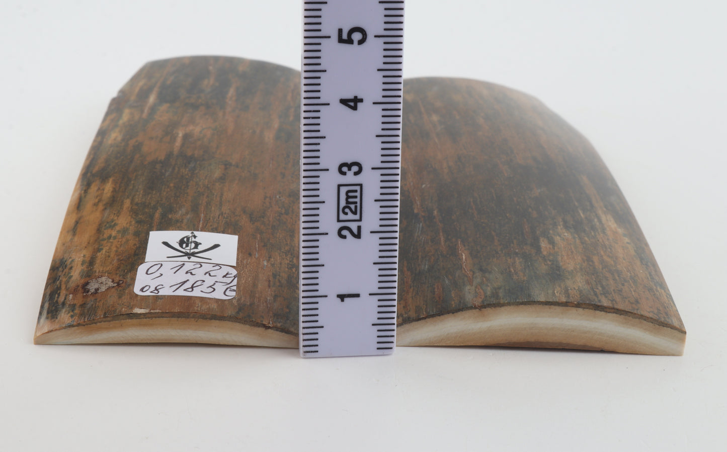 Natural mammoth bark scales