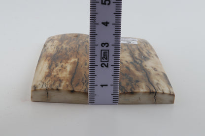 Natural mammoth bark scales