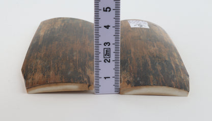 Natural mammoth bark scales