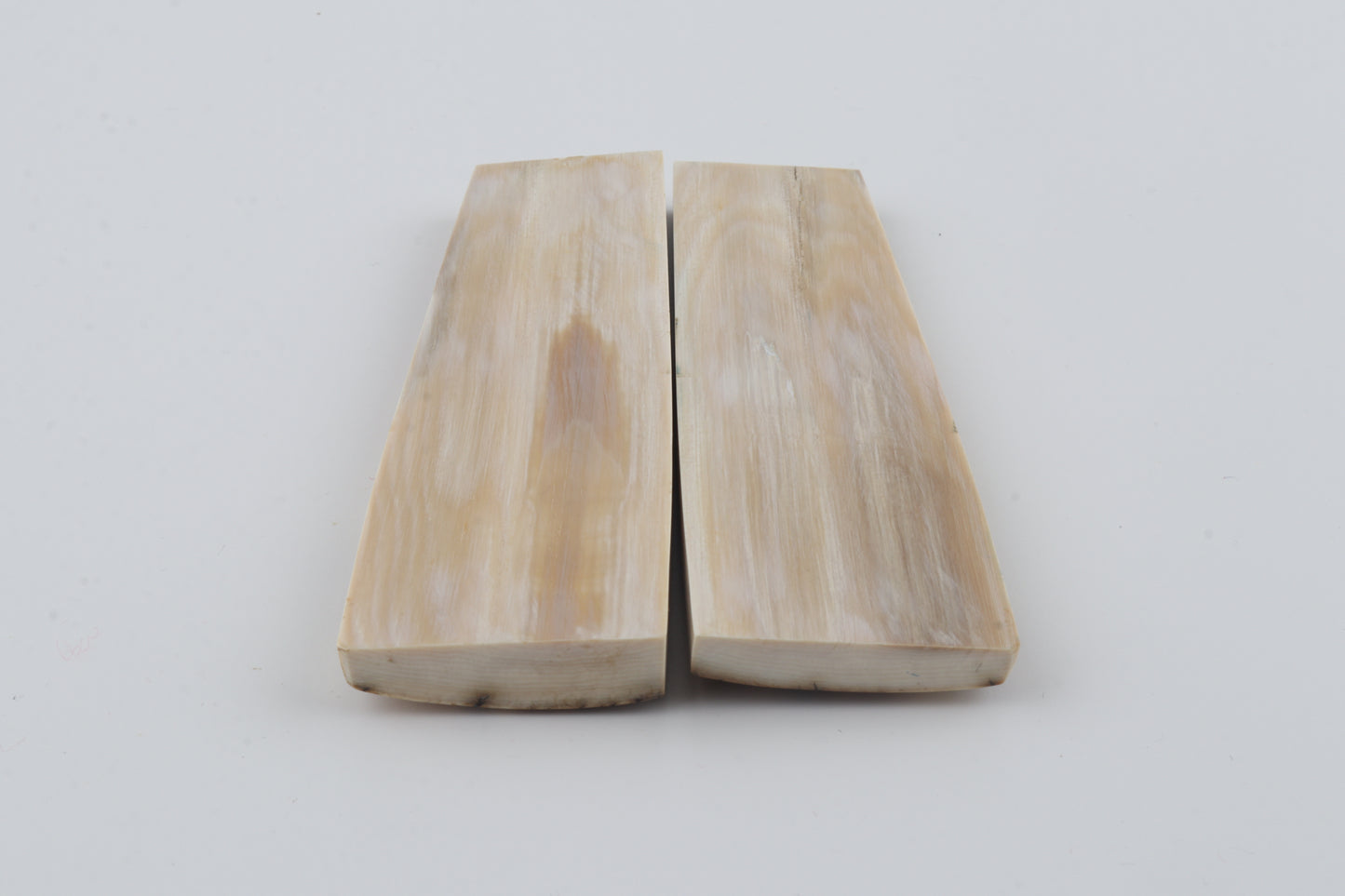 Natural mammoth bark scales