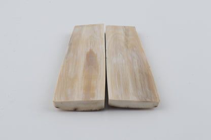 Natural mammoth bark scales