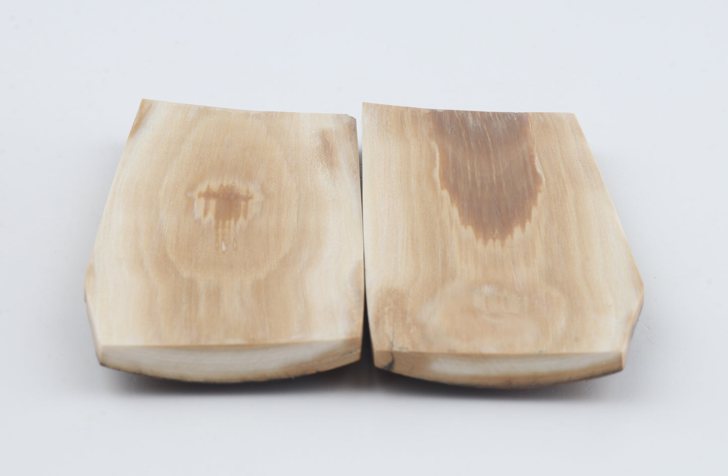 Natural mammoth bark scales