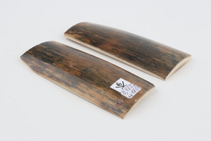 Natural mammoth bark scales