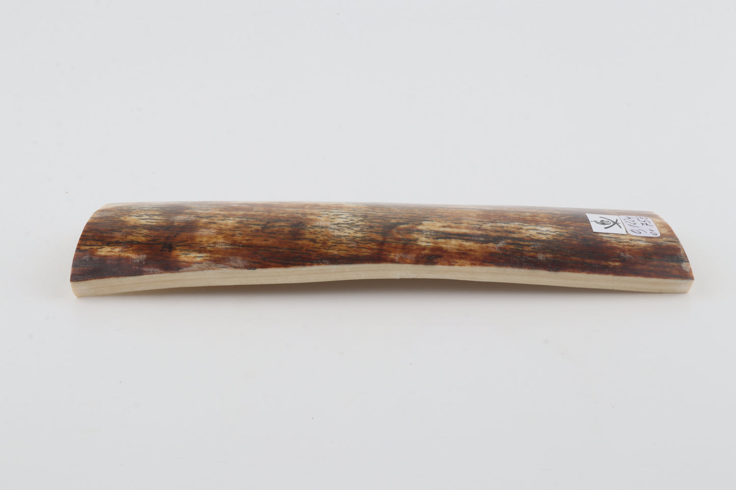 Orange-brown mammoth bark
