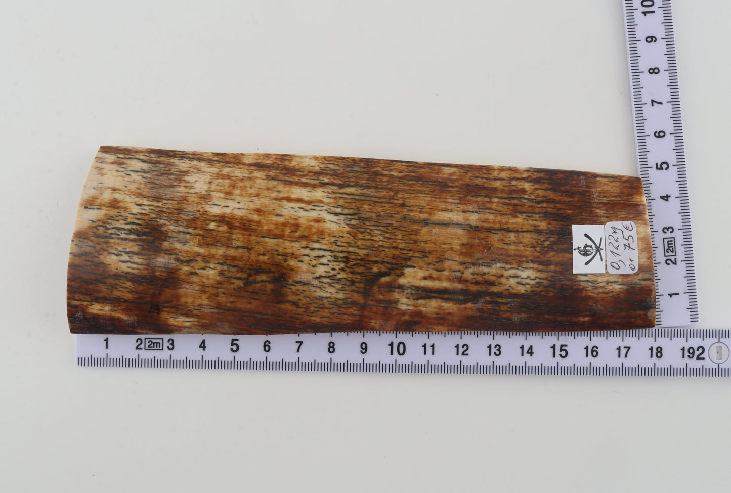 Orange-brown mammoth bark
