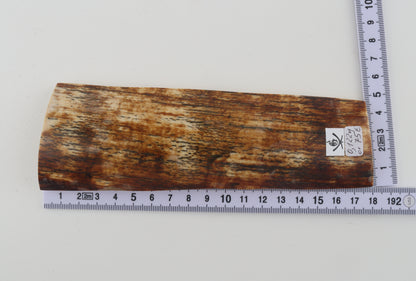 Orange-brown mammoth bark