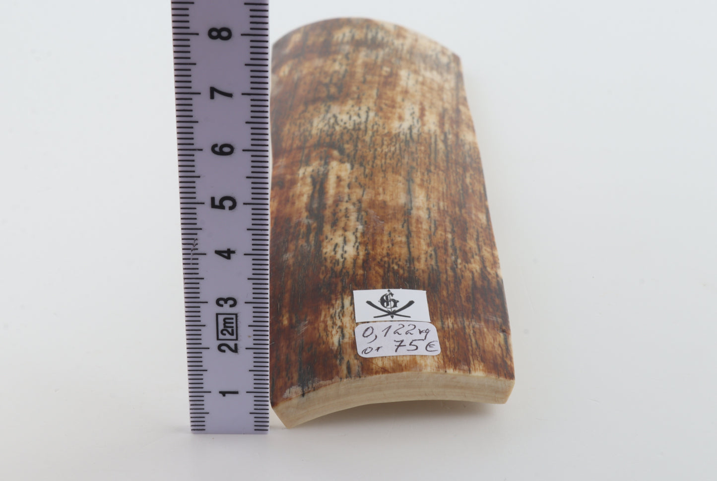 Orange-brown mammoth bark