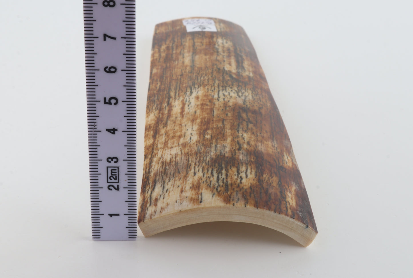 Orange-brown mammoth bark