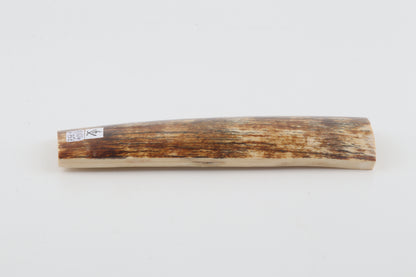 Orange-brown mammoth bark