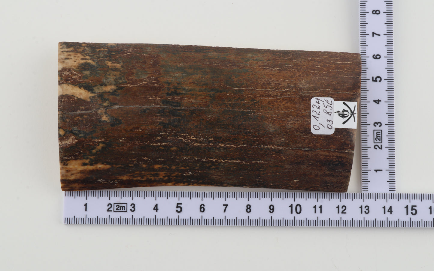 Brown mammoth bark