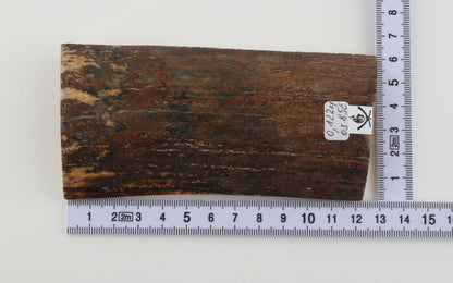 Brown mammoth bark