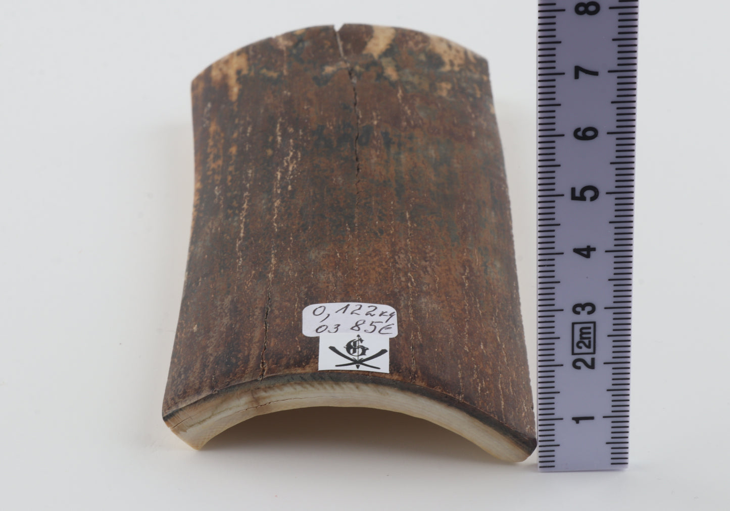 Brown mammoth bark
