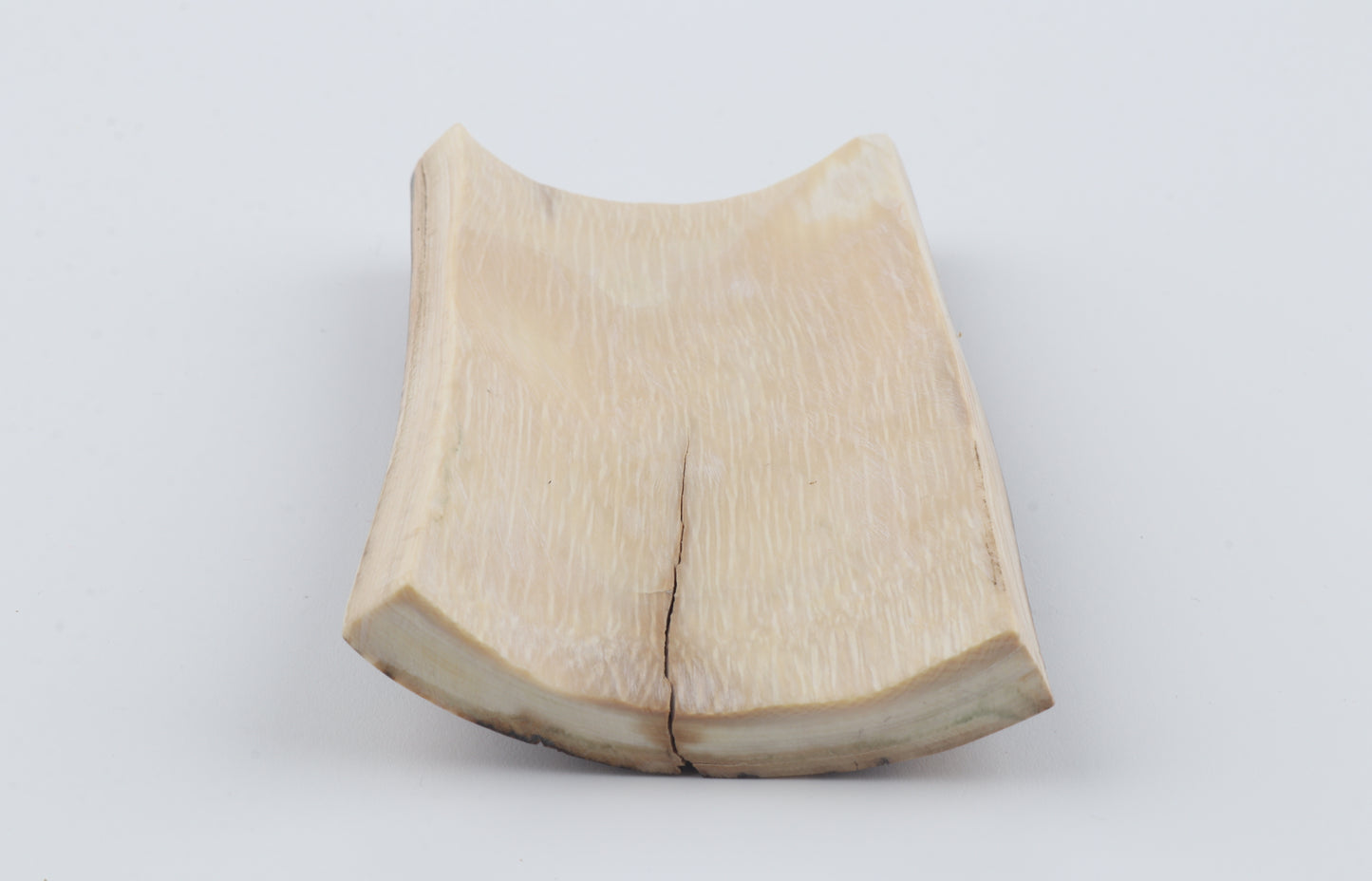 Brown mammoth bark