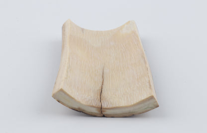 Brown mammoth bark