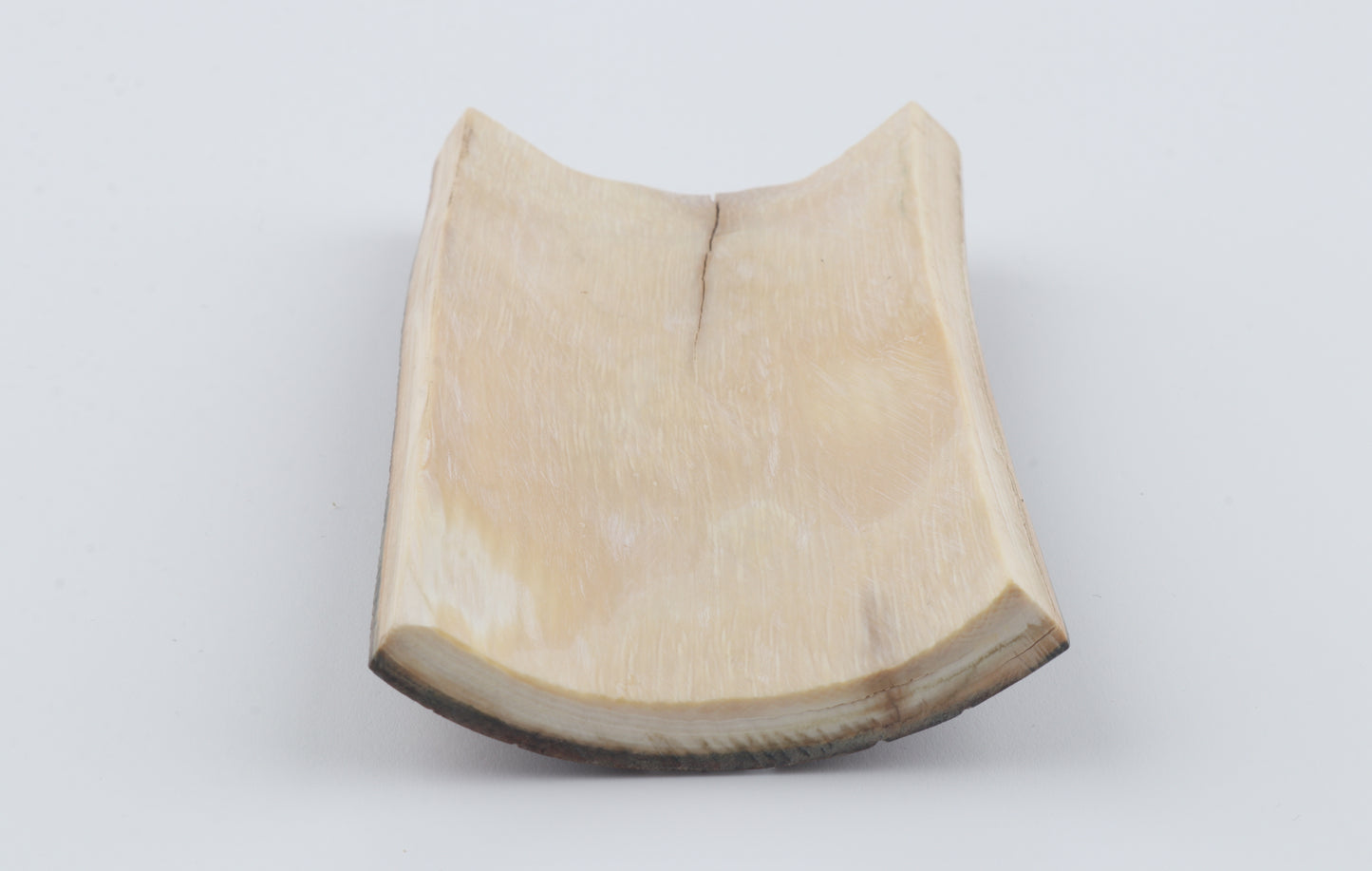 Brown mammoth bark