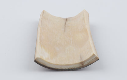 Brown mammoth bark