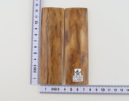 Natural mammoth bark scales