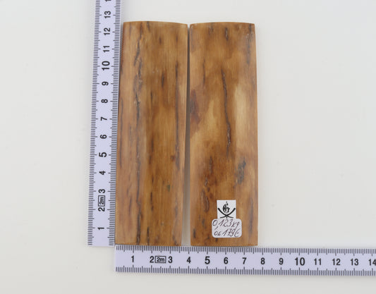 Natural mammoth bark scales