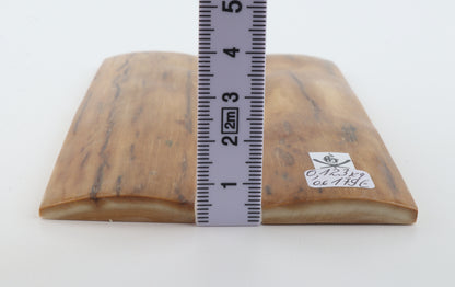 Natural mammoth bark scales