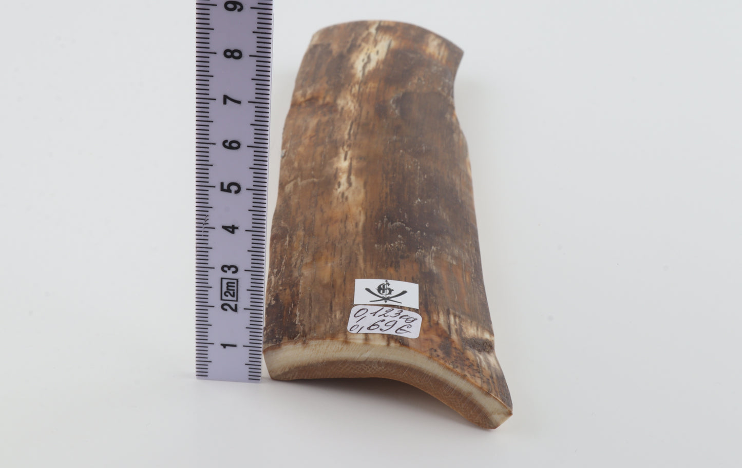 Brown mammoth bark