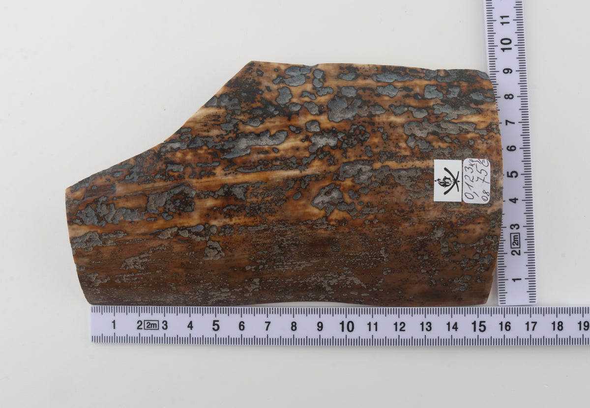 Natural mammoth bark