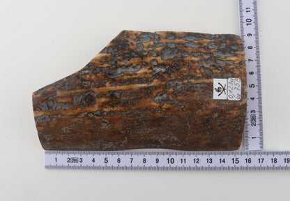 Natural mammoth bark