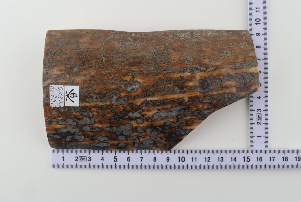 Natural mammoth bark