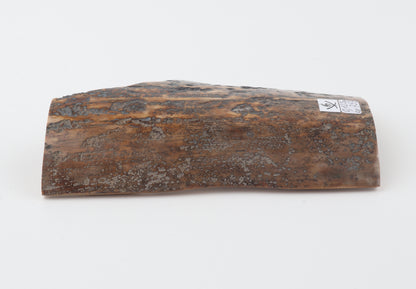 Natural mammoth bark