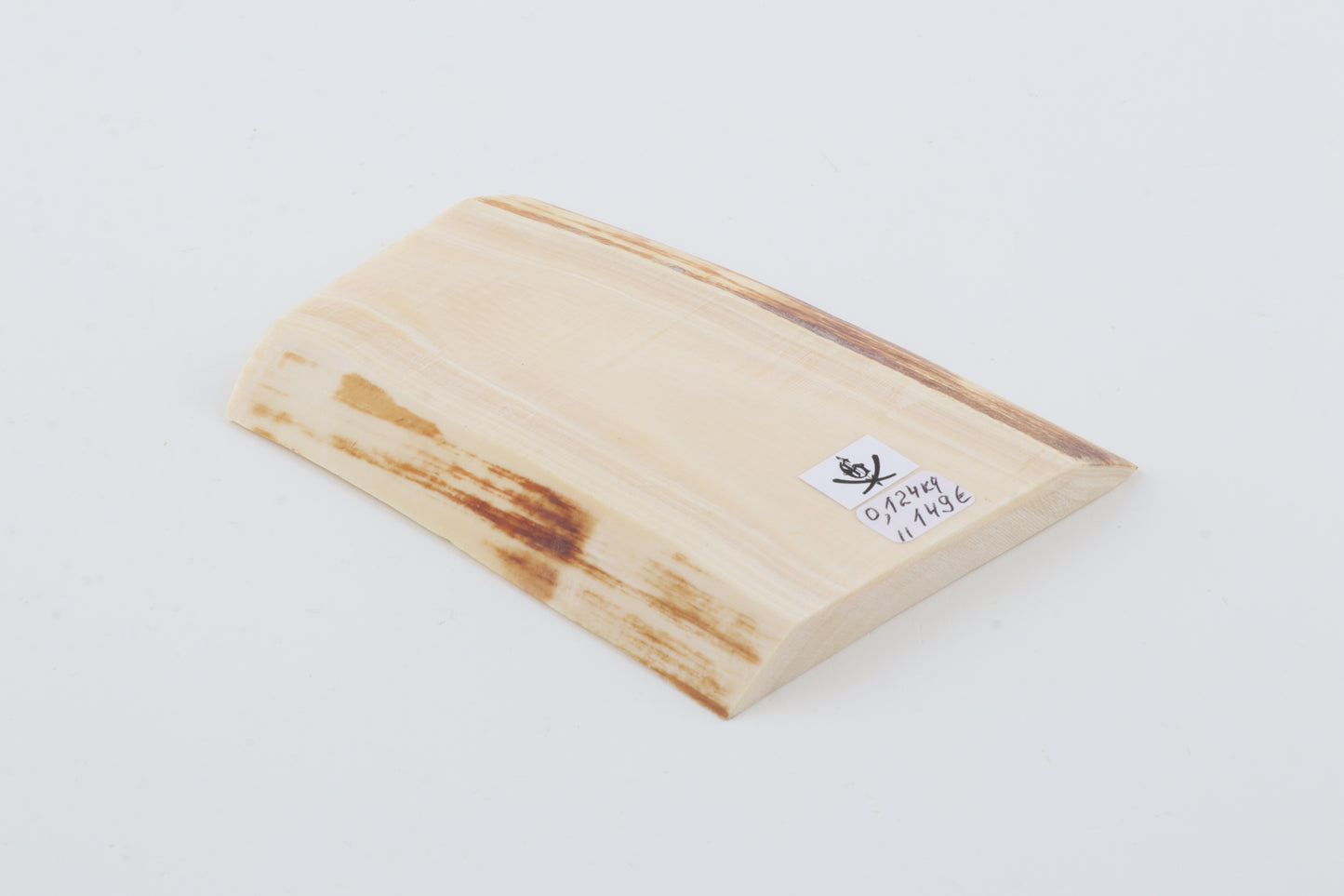 White mammoth ivory segment