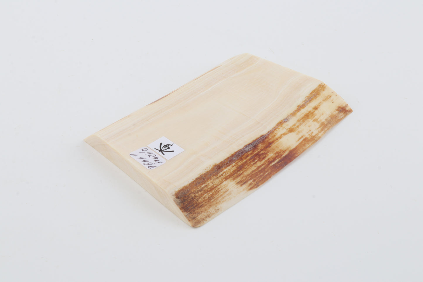 White mammoth ivory segment