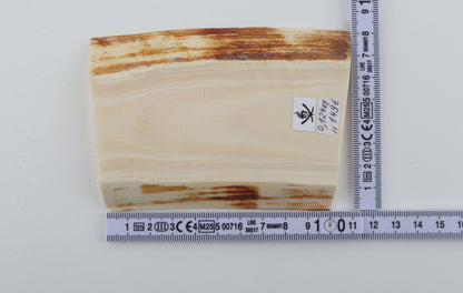 White mammoth ivory segment