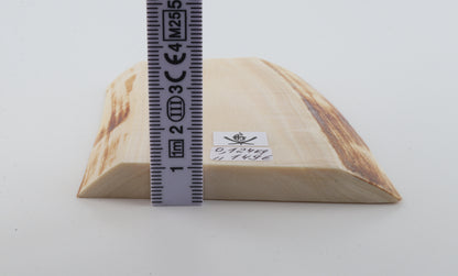 White mammoth ivory segment